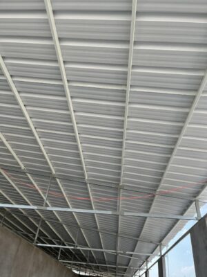 z5600146125208 07275548988ac2724333180f0861761a