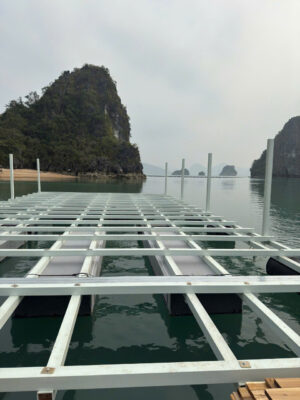 z6784085171918 909c0a4784aee4754d3e8e571ce8f404